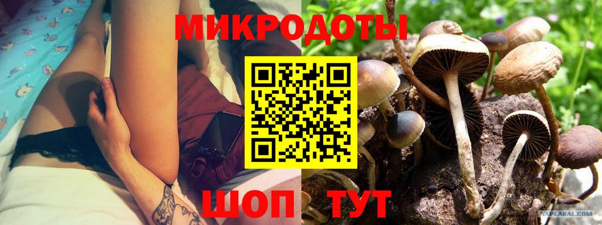 Галлюциногенные грибы GOLDEN TEACHER  Вход с VPN  Краснознаменск 